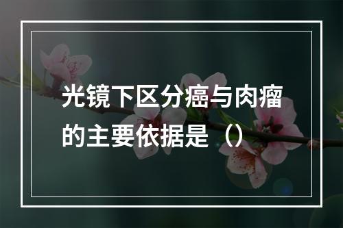 光镜下区分癌与肉瘤的主要依据是（）