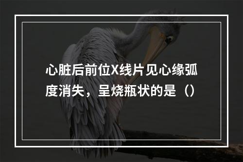 心脏后前位X线片见心缘弧度消失，呈烧瓶状的是（）