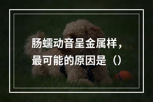 肠蠕动音呈金属样，最可能的原因是（）