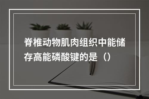 脊椎动物肌肉组织中能储存高能磷酸键的是（）