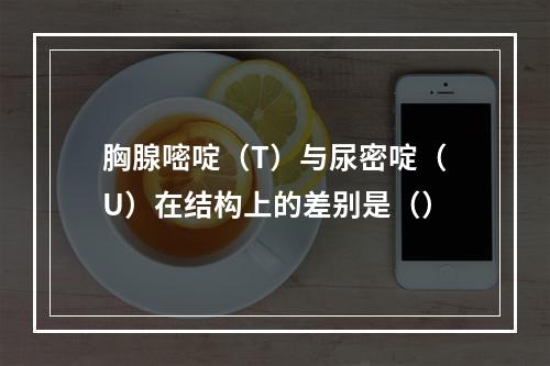 胸腺嘧啶（T）与尿密啶（U）在结构上的差别是（）