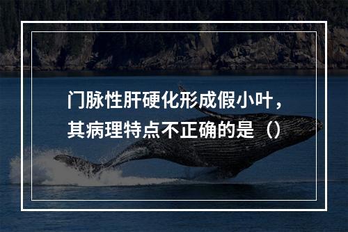 门脉性肝硬化形成假小叶，其病理特点不正确的是（）