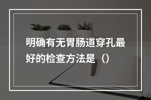 明确有无胃肠道穿孔最好的检查方法是（）