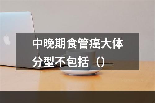 中晚期食管癌大体分型不包括（）