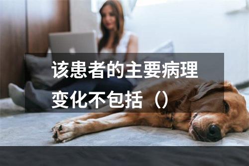 该患者的主要病理变化不包括（）