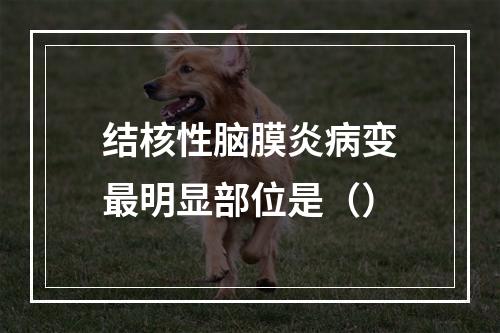 结核性脑膜炎病变最明显部位是（）