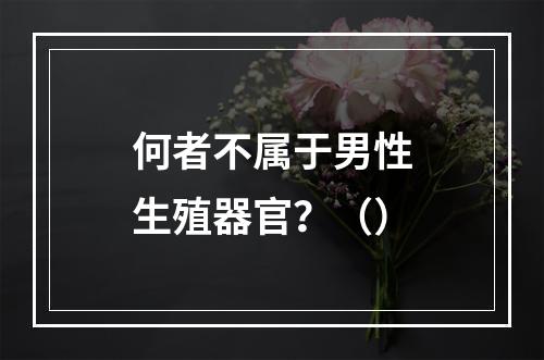 何者不属于男性生殖器官？（）