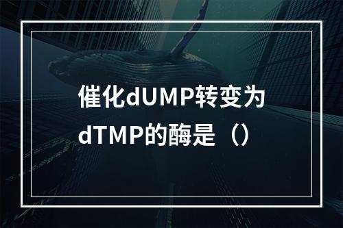 催化dUMP转变为dTMP的酶是（）