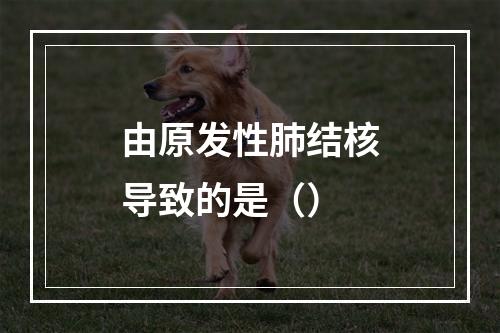 由原发性肺结核导致的是（）