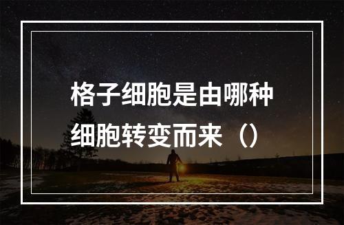 格子细胞是由哪种细胞转变而来（）