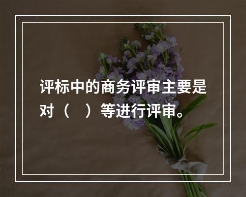 评标中的商务评审主要是对（　）等进行评审。