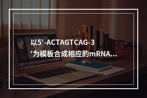 以5′-ACTAGTCAG-3′为模板合成相应的mRNA链的