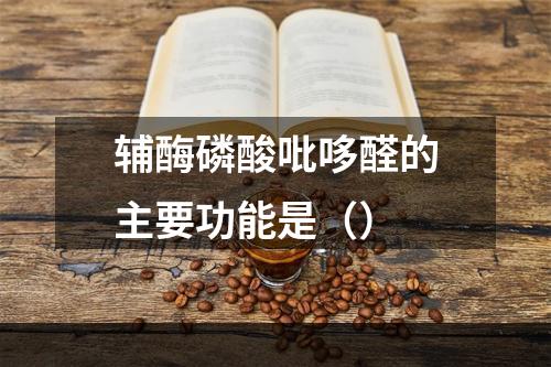 辅酶磷酸吡哆醛的主要功能是（）