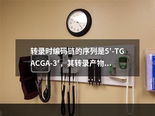 转录时编码链的序列是5′-TGACGA-3′，其转录产物的结