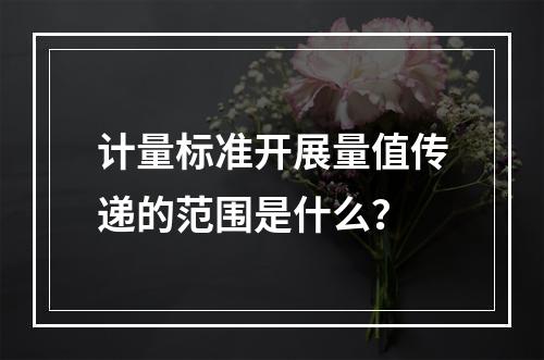 计量标准开展量值传递的范围是什么？