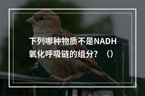 下列哪种物质不是NADH氧化呼吸链的组分？（）