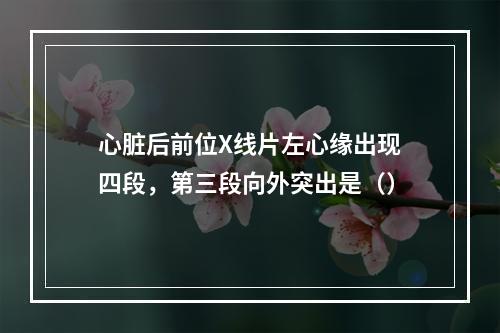 心脏后前位X线片左心缘出现四段，第三段向外突出是（）