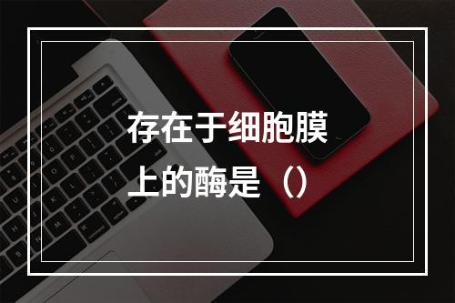 存在于细胞膜上的酶是（）