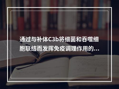 通过与补体C3b将细菌和吞噬细胞联结而发挥免疫调理作用的抗体