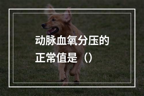 动脉血氧分压的正常值是（）