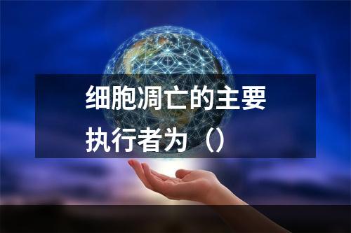 细胞凋亡的主要执行者为（）