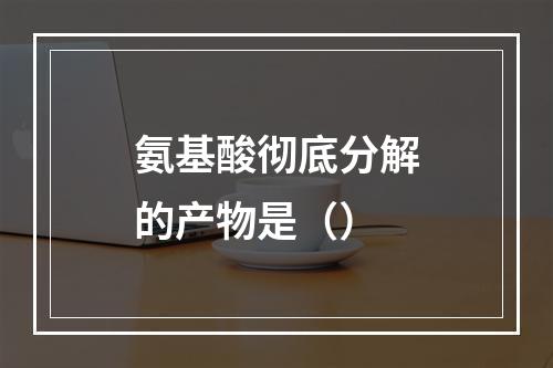 氨基酸彻底分解的产物是（）