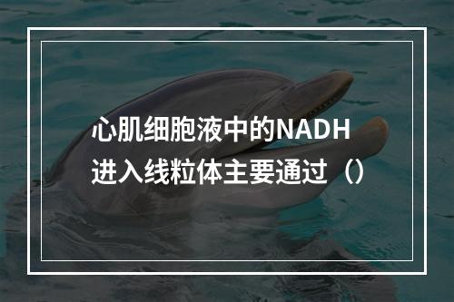 心肌细胞液中的NADH进入线粒体主要通过（）