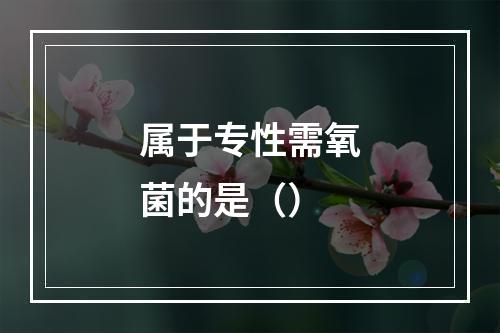 属于专性需氧菌的是（）