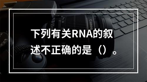 下列有关RNA的叙述不正确的是（）。