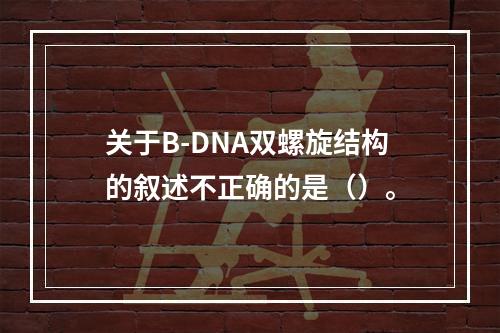 关于B-DNA双螺旋结构的叙述不正确的是（）。