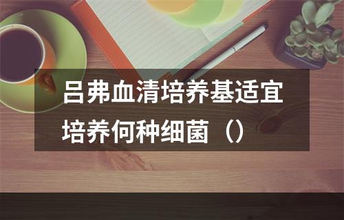 吕弗血清培养基适宜培养何种细菌（）