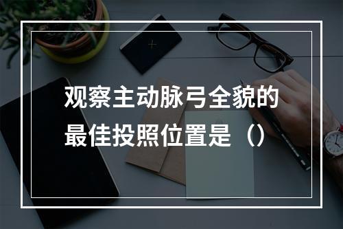 观察主动脉弓全貌的最佳投照位置是（）