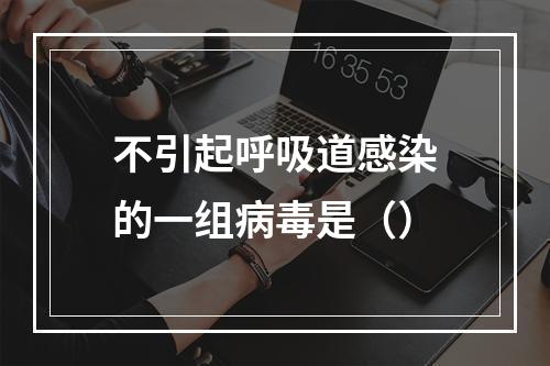 不引起呼吸道感染的一组病毒是（）