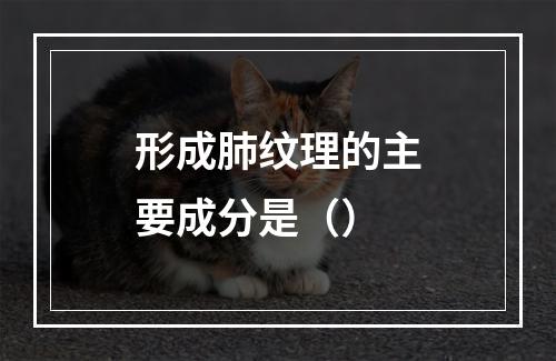 形成肺纹理的主要成分是（）