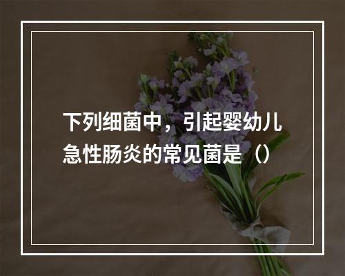 下列细菌中，引起婴幼儿急性肠炎的常见菌是（）