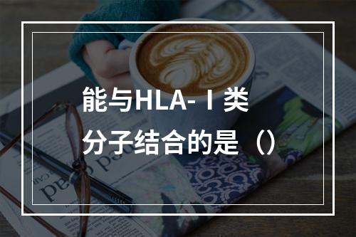 能与HLA-Ⅰ类分子结合的是（）