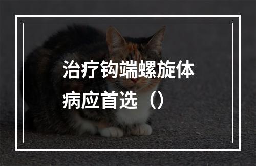 治疗钩端螺旋体病应首选（）