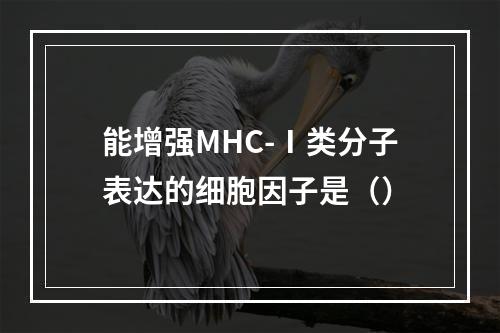 能增强MHC-Ⅰ类分子表达的细胞因子是（）