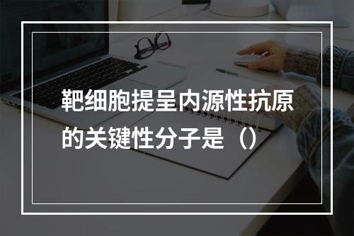 靶细胞提呈内源性抗原的关键性分子是（）