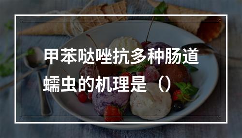 甲苯哒唑抗多种肠道蠕虫的机理是（）