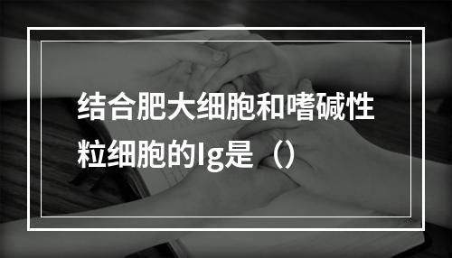 结合肥大细胞和嗜碱性粒细胞的Ig是（）