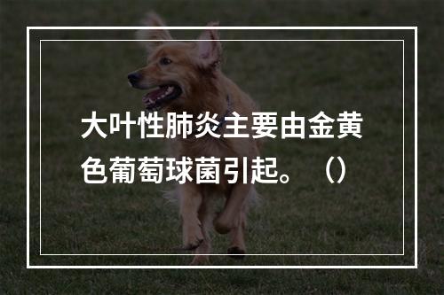 大叶性肺炎主要由金黄色葡萄球菌引起。（）