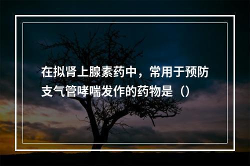 在拟肾上腺素药中，常用于预防支气管哮喘发作的药物是（）