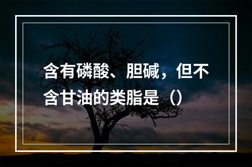 含有磷酸、胆碱，但不含甘油的类脂是（）