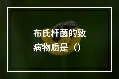 布氏杆菌的致病物质是（）