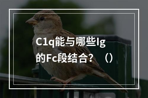 C1q能与哪些Ig的Fc段结合？（）