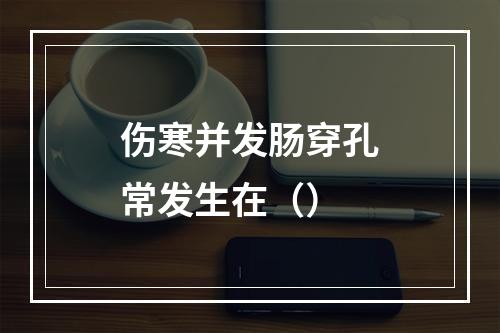 伤寒并发肠穿孔常发生在（）