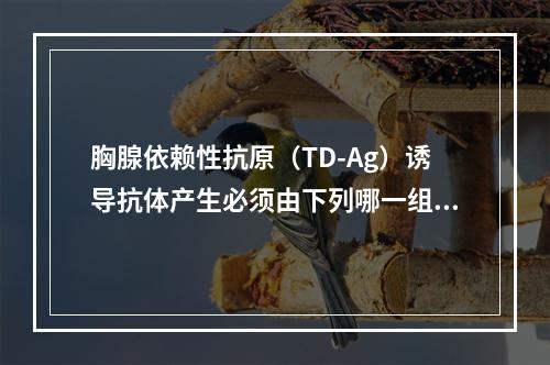 胸腺依赖性抗原（TD-Ag）诱导抗体产生必须由下列哪一组细胞