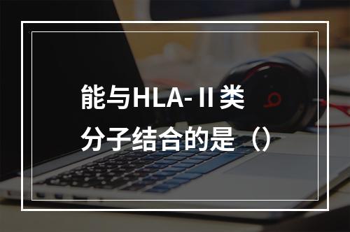 能与HLA-Ⅱ类分子结合的是（）