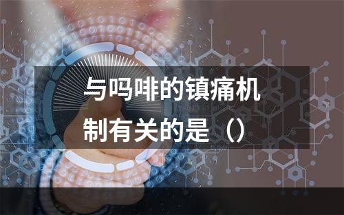 与吗啡的镇痛机制有关的是（）